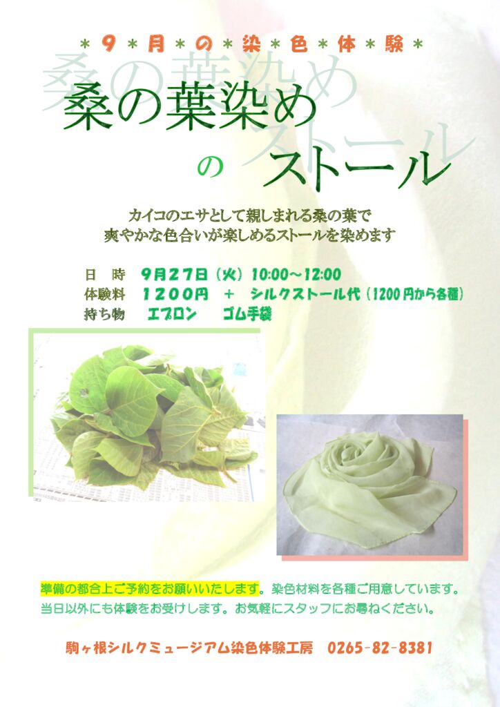体験メニュー 染色体験
